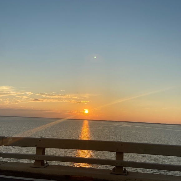 Meet your Posher, Taylor - Picture 1 of 1